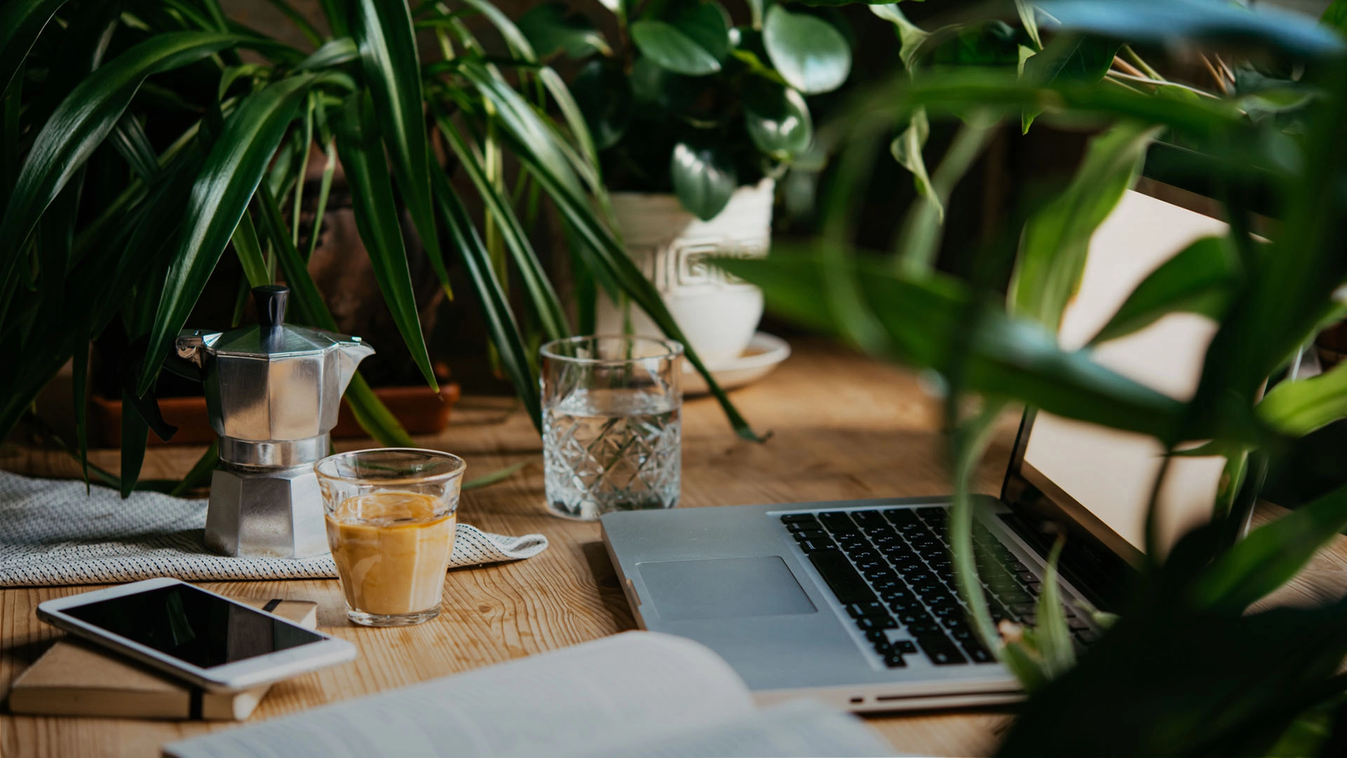 Wooden desk with a laptop, glass of coffee, glass of water, smartphone, and green potted plants around.